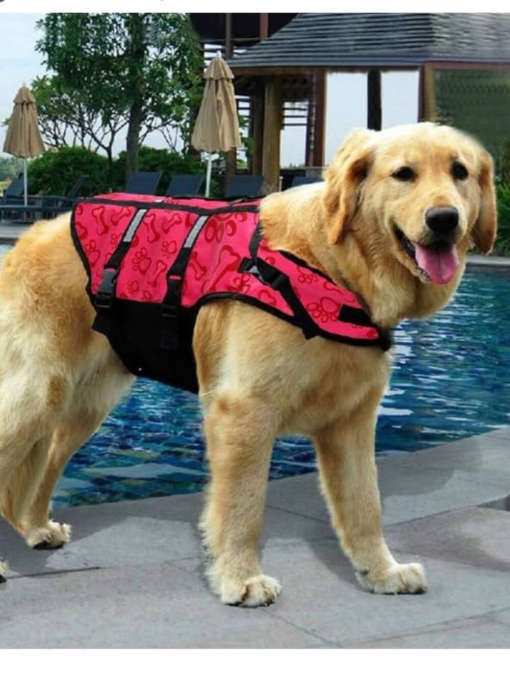 Dog Life Jacket Swimming Safety Coat Floatation